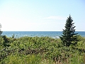 Western Michigan [2010] 749